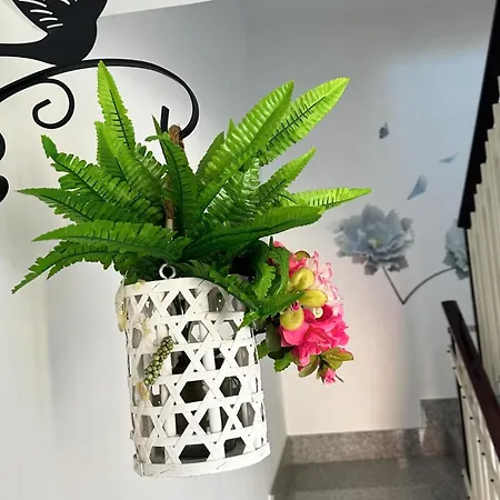 Fiori E Farfalle - Holiday home